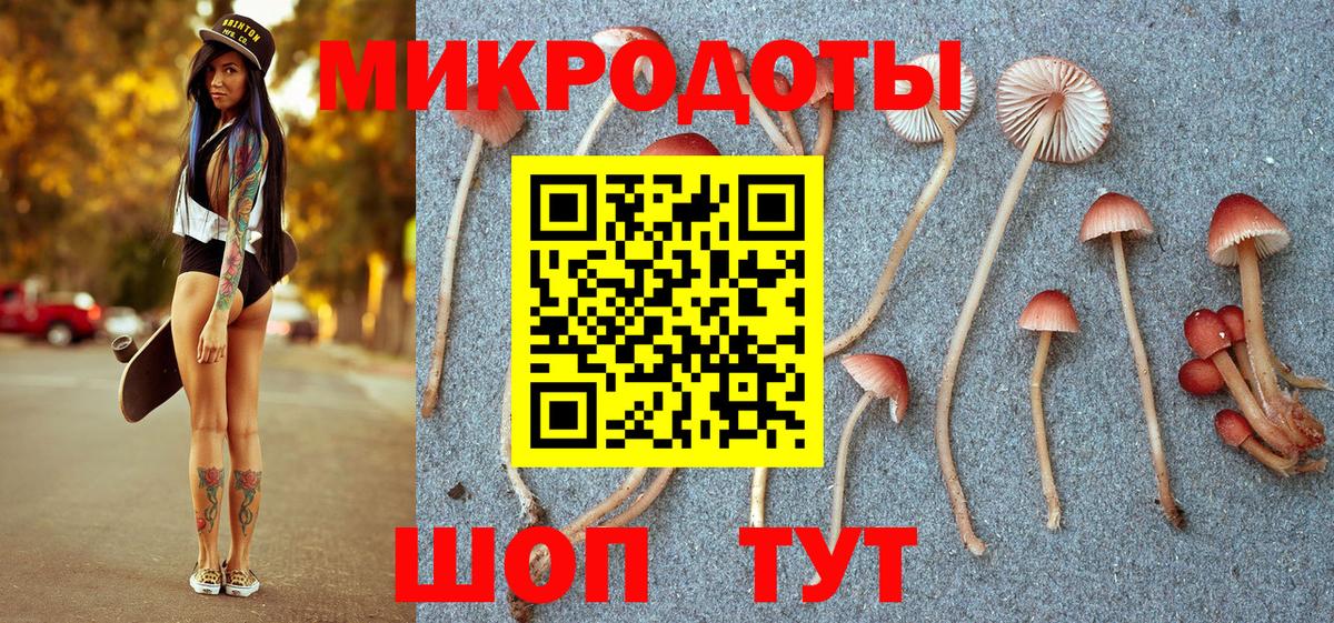 Галлюциногенные грибы Psilocybine cubensis Юрга